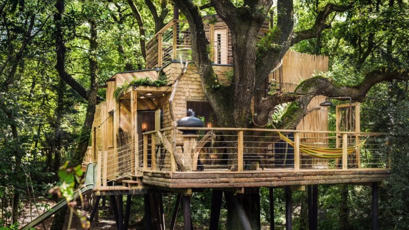 Дом на дереве — как построить проект своей мечты