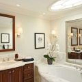 Зеркало с подсветкой в ванную: виды зеркал, варианты ламп для светильников